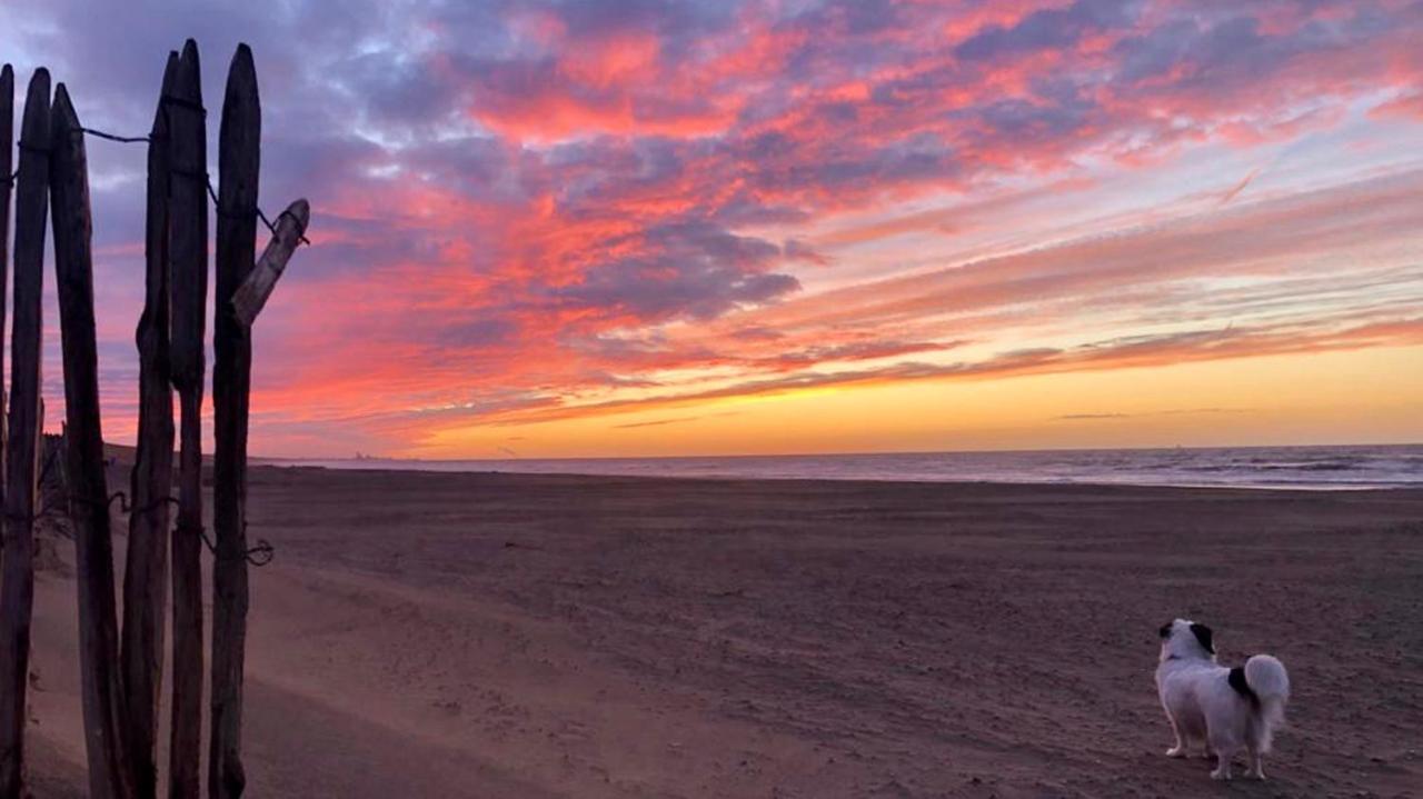 Beach House For You - Luxe Verblijf, 5 Min Van Het Strand Katwijk aan Zee Екстер'єр фото